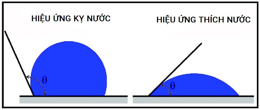DUNG DICH NUOC RUA XE TOT NHAT CHO DETAILING 11