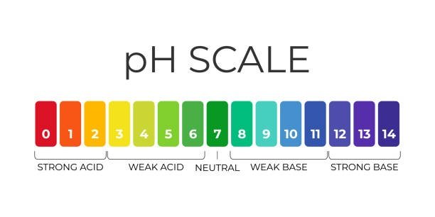 THANG DO PH 1
